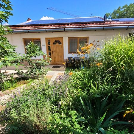 סגד Mandula Apartman מראה חיצוני תמונה